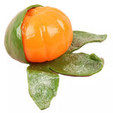Squishy Orange Fruit Stress Ball in Bulk