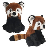 Buy 6? Earth Safe Red Panda in Bulk