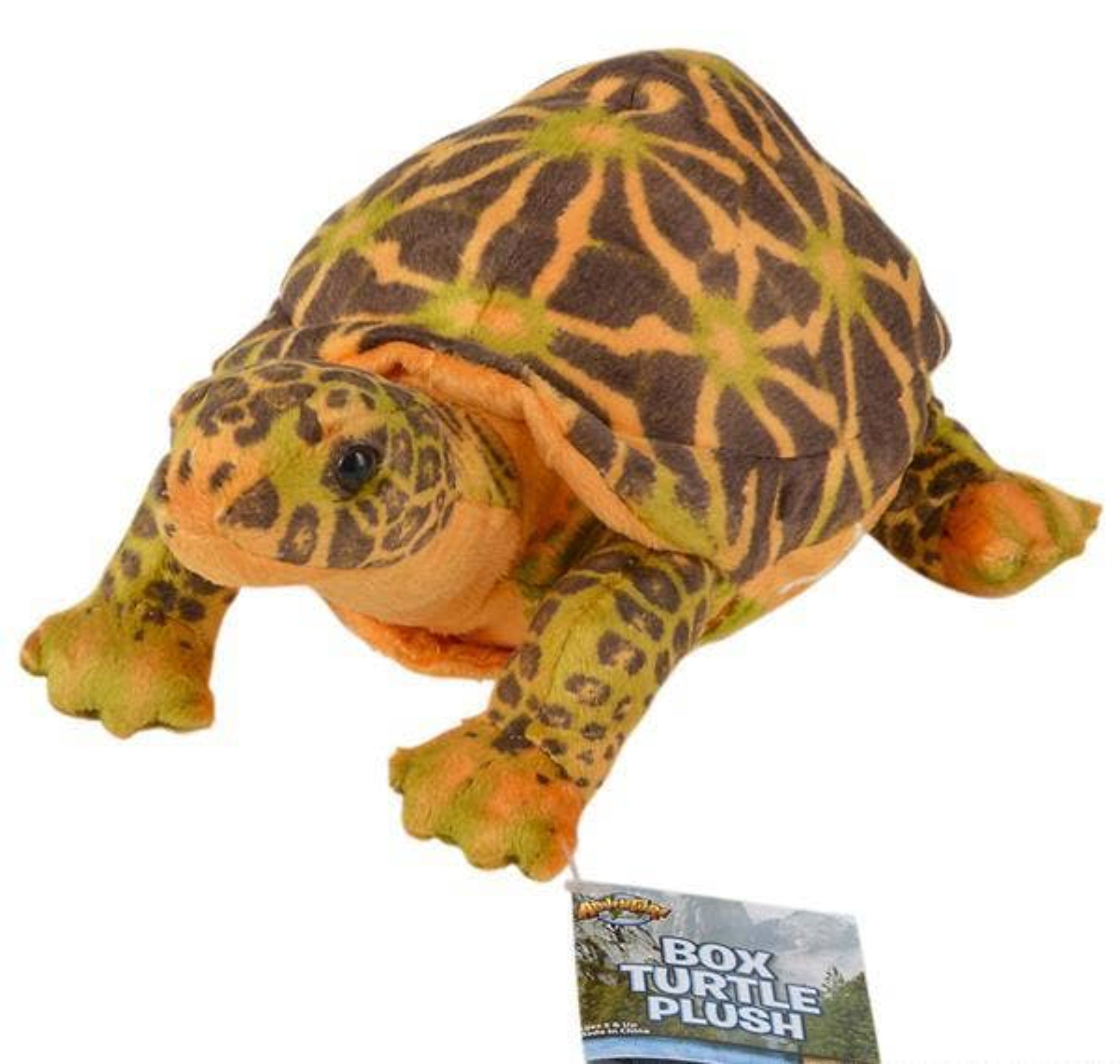 Buy 11" BOX TURTLE plush in Bulk