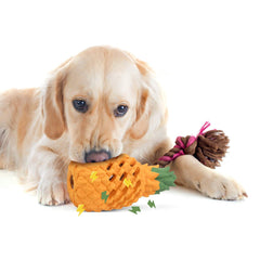 Dog Treat Toys for Pet Teeth Cleaning